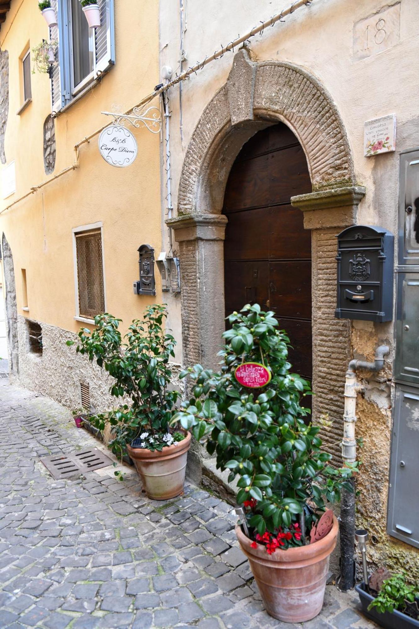 B&B Carpe Diem Vista Lago Castel Gandolfo Exterior photo